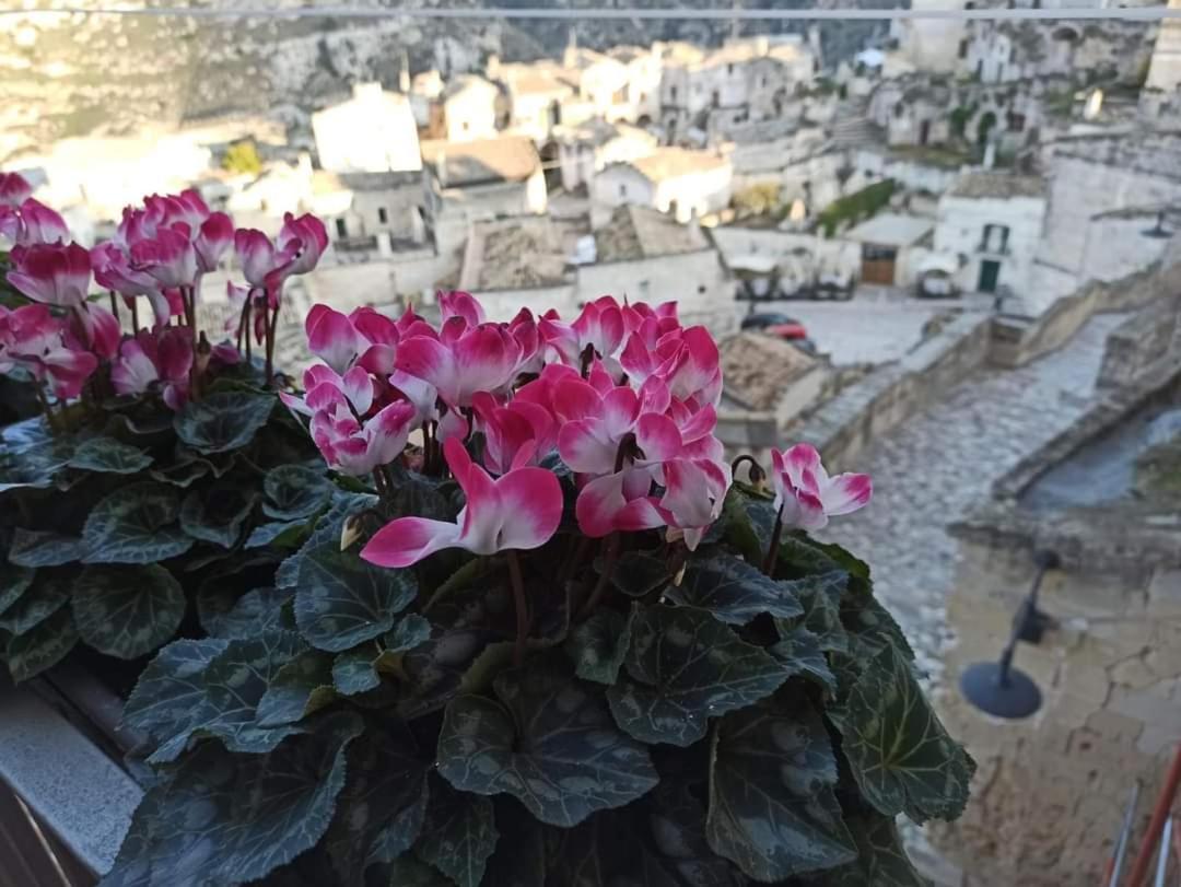 Slow Living B&B Matera Exterior photo